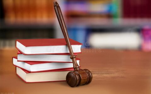 共同诉讼人是什么意思及必要共同诉讼的9个法定情形