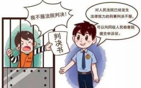 刑事申诉书怎么写及刑事申诉状成功范文