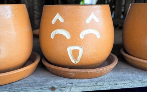 结婚证不见了怎么办离婚手续及无结婚证的婚姻离婚法