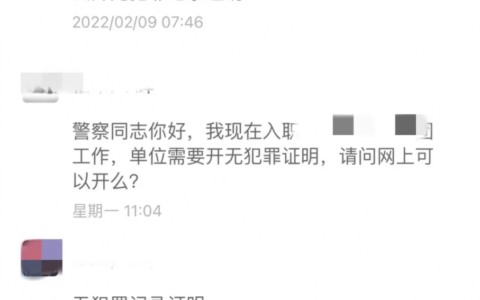 犯罪记录查询系统及个人犯罪记录网上查询方法