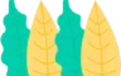 农村土地政策规定及国家对农村土地征收最新政策