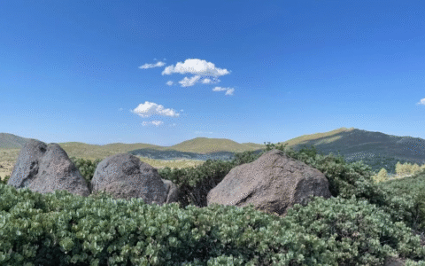 深圳最低社保是多少及深圳社保缴费基数