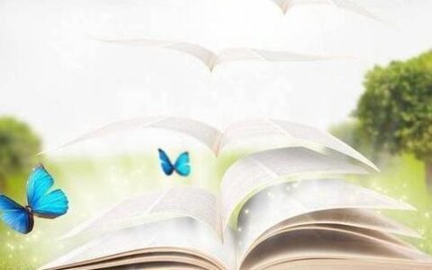 婚姻法第二十一条是什么及婚姻法第二十一条规定内容