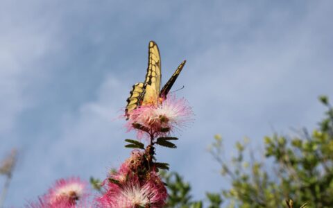现在离婚的程序有哪些及起诉离婚书范文标准版