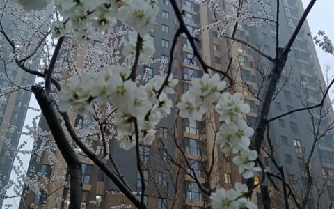 解除合同协议书怎么写及公司解除合同协议书范本