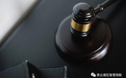 残疾人权益保障法及《中华人民共和国残疾人保障法