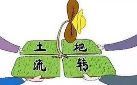 土地流转是什么意思及土地流转的相关法律规定