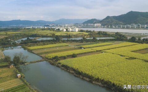 关于农村宅基地的最新政策及关于农村宅基地政策