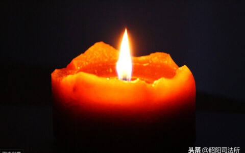 享有生命健康权的主体是什么及中华人民共和国生命健康法