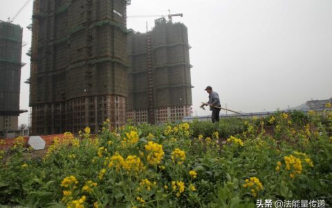 土地所有权属于谁及土地管理法新规定