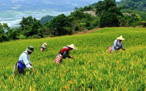 劳动仲裁前置的法律规定及劳动纠纷仲裁前置的法律依据