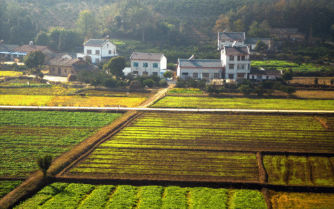 农村房屋确权是什么及农村房屋确权规定