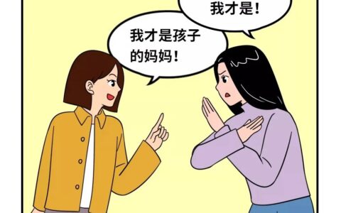 同性伴侣争抚养权案及配偶作为被抚养人案例