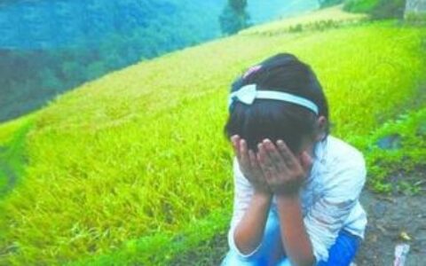 嫖宿是什么意思及有关嫖宿的法律法规