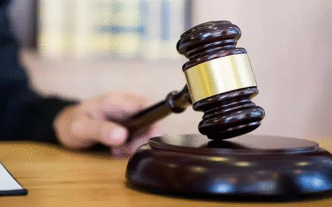 合同法解读与适用及合同法案例及分析和法律依据