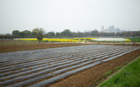 耕地开垦费是多少钱及耕地占补平衡费标准