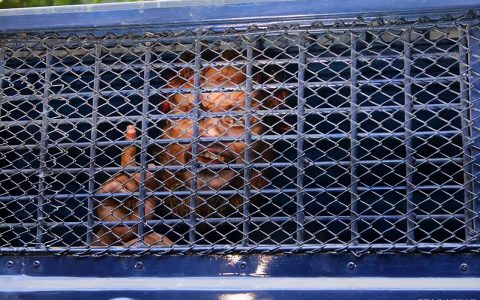 为什么说死缓比无期好及判刑25年和无期徒刑的区别