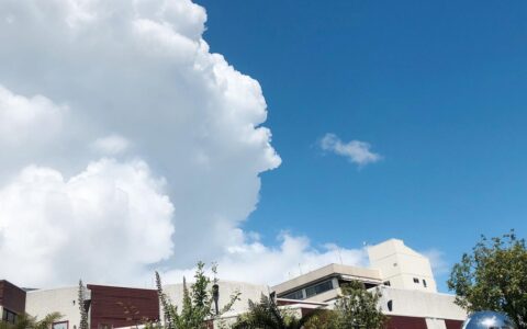 港澳通行证在哪里办及港澳通行证网上办理