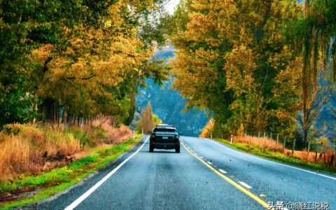 福利费计提比例是多少及企业福利费计提标准规定