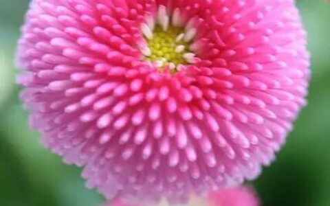 冷暴力的婚姻如何解决及对付男人冷暴力最狠绝招