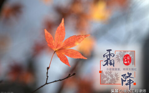 债权法属于什么法律体系及民法典关于债权债务的规定