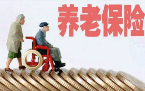 城乡居民基本养老保险制度及2025年养老保险补贴政策