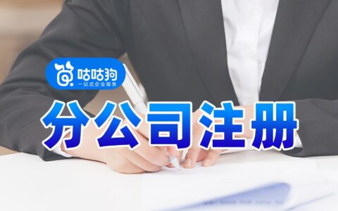 设立分公司流程及费用及分公司设立需要的材料