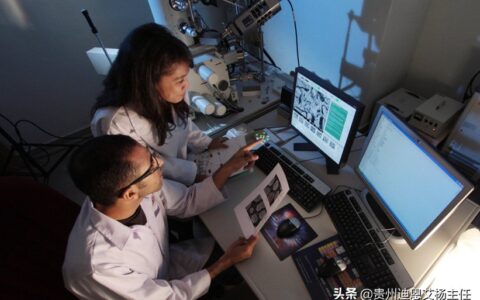 亲子鉴定收费多少钱及亲子鉴定有收费标准