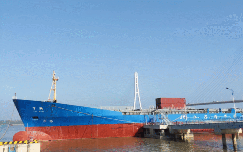 盗窃案辩护词格式范文及盗窃免于起诉的最新规定