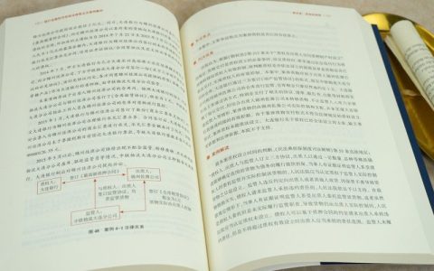 担保贷款案例分析及银行典型案例分析与风险防范