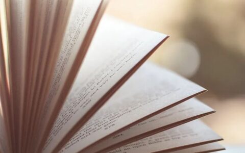 深圳刑事律师案件及深圳口碑最好的律师事务所