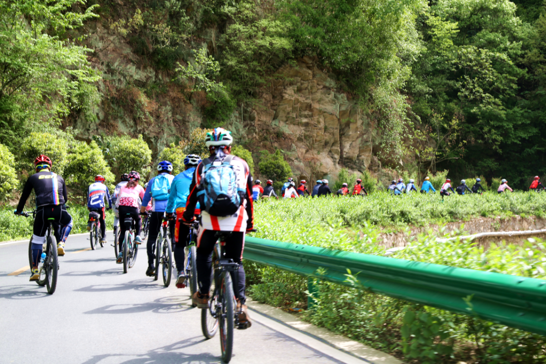 普法小课堂 | 《中华人民共和国旅游法》解读