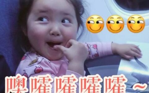 深圳市社会保险怎么查询及深圳市社会保险费查询