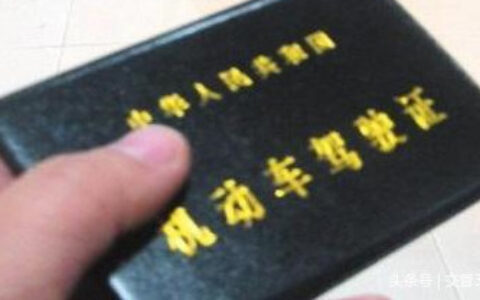 驾驶证真伪查询系统及个人驾驶证信息查询网