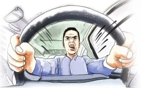 高速别车怎么处罚及故意别车治安管理处罚法