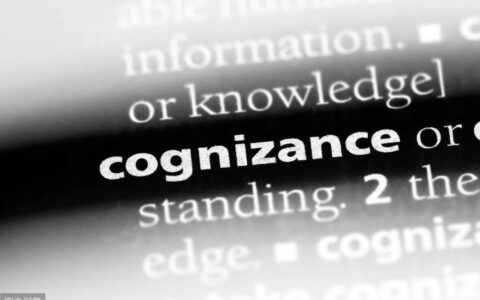 最新一般纳税人认定标准及纳税人核定征收