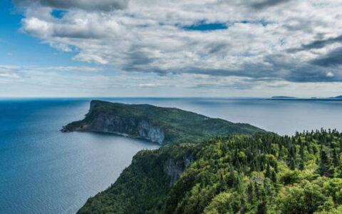 工作单位证明怎么开及工作证明模板通用版