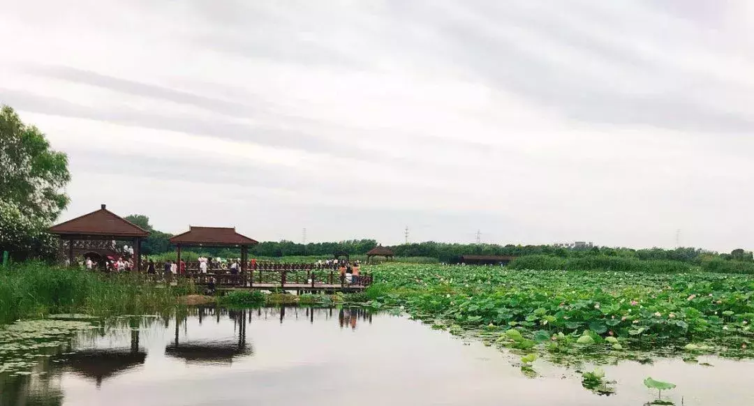 农转非需要什么样的流程？集体建设用地如何审批？