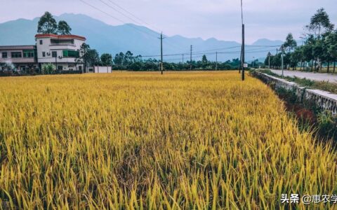 耕地占用税税率是多少及耕地占用税免税范围包括