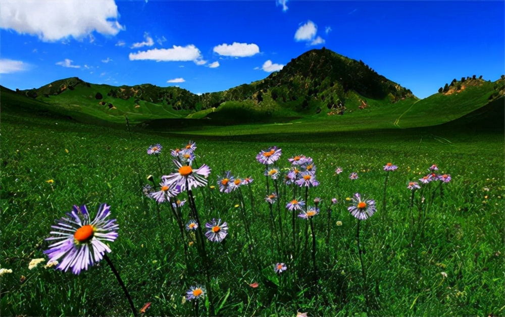 2016年一男子在青海草场挖走五袋文物，卖1800万，不料惩罚来了