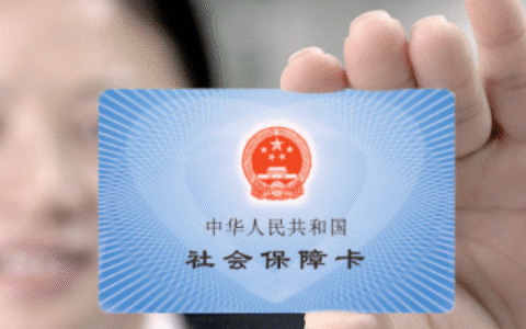 社保怎么查及12333社保缴费明细查询