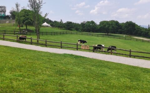 离婚不想等30天冷静期怎么办及快速离婚的最佳方法