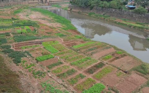 2025年土地补偿标准及乡镇土地征收赔偿标准明细