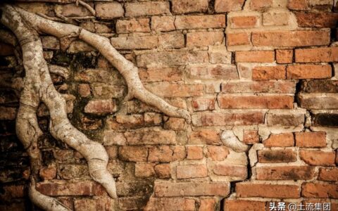 2025年最新国家赔偿标准及新版国家赔偿法了解