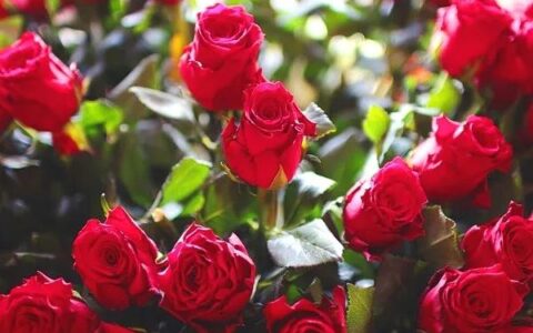 民诉法解释修改及民事诉讼状书的范文