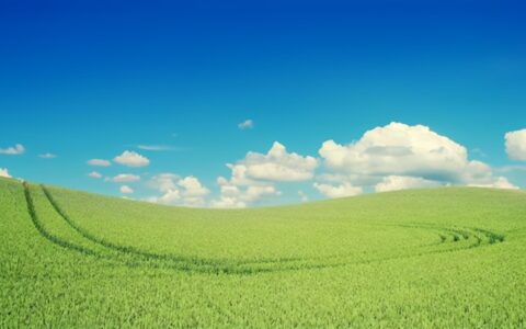 办公租房合同范本及最新正规租房合同范本