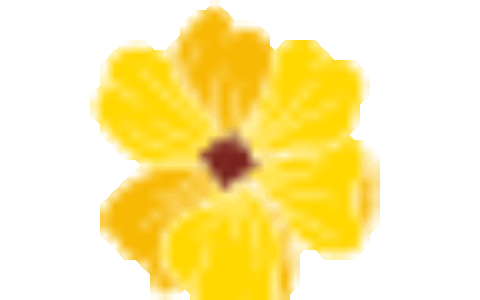 南宁住房公积金怎么查询及南宁住房公积金提取