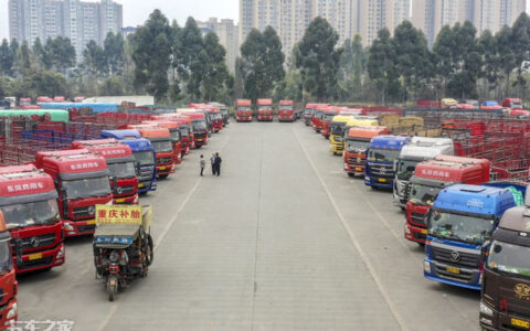 个人营运证怎么办理及个人道路运输证办理流程