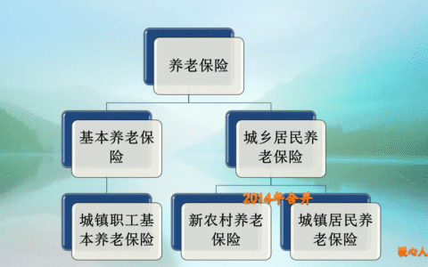 农民养老保险是多少及农村养老保险一次性补缴政策