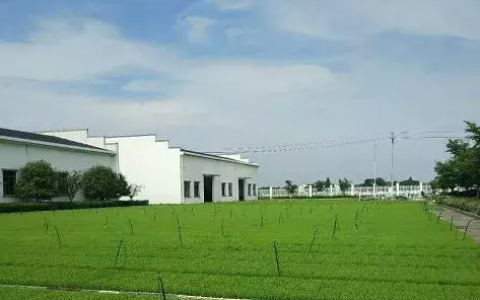 农转非申请书怎么写及非转农户口申请书范文